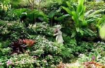 Half-Day Barbados Tour Harrisons Cave Hunte's Garden and Bathsheba 