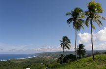 Taste of Barbados Full-Day Sightseeing tour