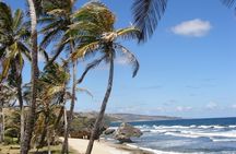 Natural Wonders of Barbados Small-Group with Harrison's Cave