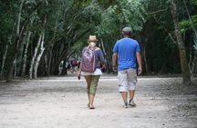 Coba, Tulum, Cenote and Mayan Village Day Trip with Lunch
