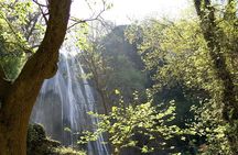 Horsetail Falls Park Tour