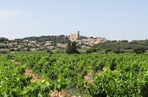 Highlights of Provence : Chateauneuf du Pape & Luberon
