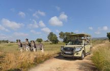 Lesedi Cultural Village and Lion Park Day Tour from Johannesburg