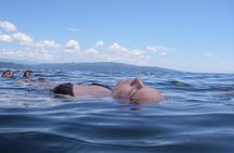Bio-Luminescence and Sunset Kayak Tour