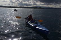 Bio-Luminescence and Sunset Kayak Tour