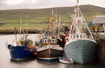Dingle Peninsula Day Tour from Limerick: Including The Wild Altanic Way