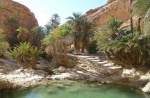 Tamerza Canyon Oasis Tour