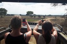 Day trip to Mikumi National Park from Dar es salaam 