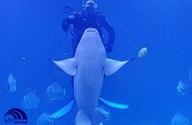 Official Account: Hurghada Grand Aquarium Entrance Tickets 