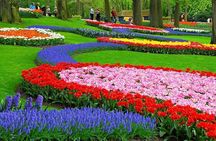 Tulip Experience and Keukenhof Flower Gardens Tour from Amsterdam