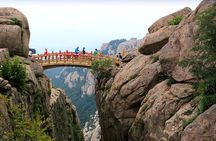 All-Inclusive Private Day Tour: Qingdao Highlights with Lunch