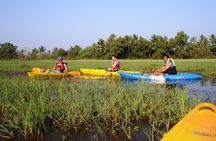 Kayaking on Sal Backwaters - Goa