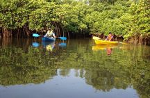 Kayaking on Sal Backwaters - Goa