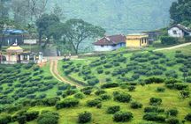Explore The Rustic Life Of Thekkady With Lunch