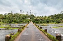 Explore The Rustic Life Of Thekkady With Lunch