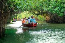 Pichavaram Mangrove & Nataraja Temple Chidambaram from Pondicherry with lunch
