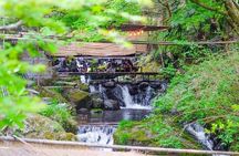 Arashiyama Bamboo Grove Day Trip from Kyoto with a Local: Private & Personalized