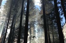 San Francisco Private Tour: Hidden Gems & Highlights by a Local