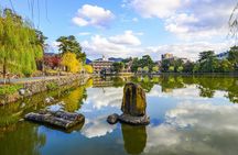 Nara Day Trip from Osaka: Private & Personalized with a Local