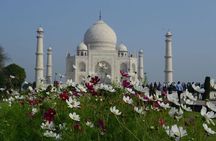 Delhi to Agra and Taj Mahal Private Day Trip by Express Train with Lunch