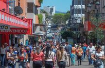 San Jose Sightseeing City Tour