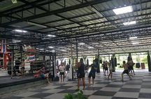 Chiang Mai Muay Thai Boxing Experience