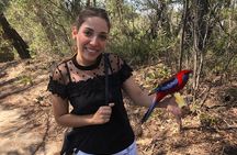 #1 Private Blue Mountains Tour by authentic story telling locals 