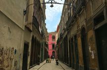 Rio Walking & Historical Tour
