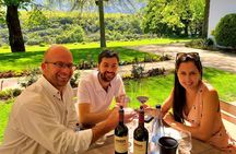 Daily Different small group WINE tour - CAPE TOWN PICKUP