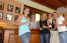  Daily Different small group WINE tour - STELLENBOSCH PICKUP only 