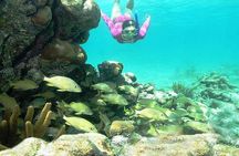 Mayan Adventure from Cancun