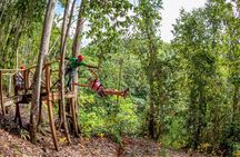 Treetop Zipline Experience From Castries