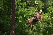 Cancun Jungle Tour: Tulum, Cenote Snorkeling, Ziplining, Lunch