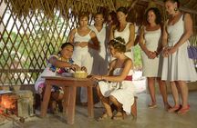 Mayan Ceremonial Night: Temazcal, Cenote Swim and Dinner from Playa del Carmen
