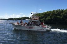PADI / SSI Open Water Certification