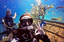 PADI / SSI Open Water Certification