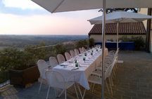 From Bologna: Wine Tasting and Vineyard Tour with the winemaker