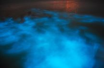 Luminous Lagoon and Rose Hall Haunted Night Tour from Runaway Bay