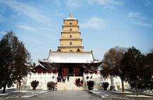 Half-Day Private Tour of Xian Museum and Big Wild Goose Pagoda