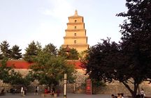Half-Day Private Tour of Xian Museum and Big Wild Goose Pagoda