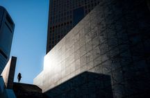 Tokyo Metropolis