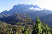 Kinabalu Park & Poring Hot Spring Tour