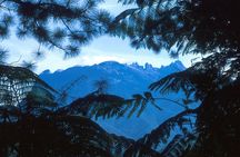 Kinabalu Park & Poring Hot Spring Tour