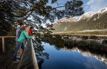 Milford Sound Premium Coach and Cruise with Lunch from Te Anau