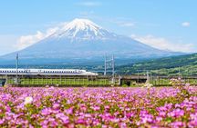 Bullet Train and Mt. Fuji Famous Food Tour
