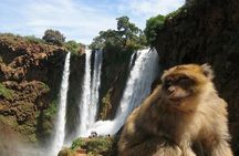 Day Excursion To Ouzoud Waterfall from Marrakech: Private