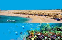 Dolphin House Snorkeling Day Cruise with Lunch from Hurghada
