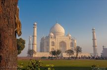 Private Day Tour to Taj Mahal and Agra Fort from Delhi by Car