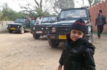 Sariska Wild Life Tour By Private Car With Jungle Safari Gypsy