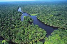 The Authentic Tortuguero National Park One Day Tour